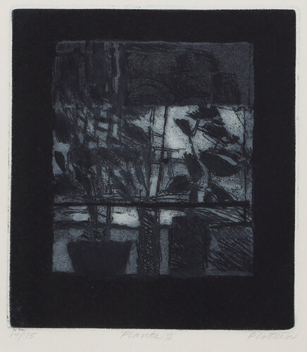 Plants II by Linda Plotkin, 인쇄 for Sale on Singulart