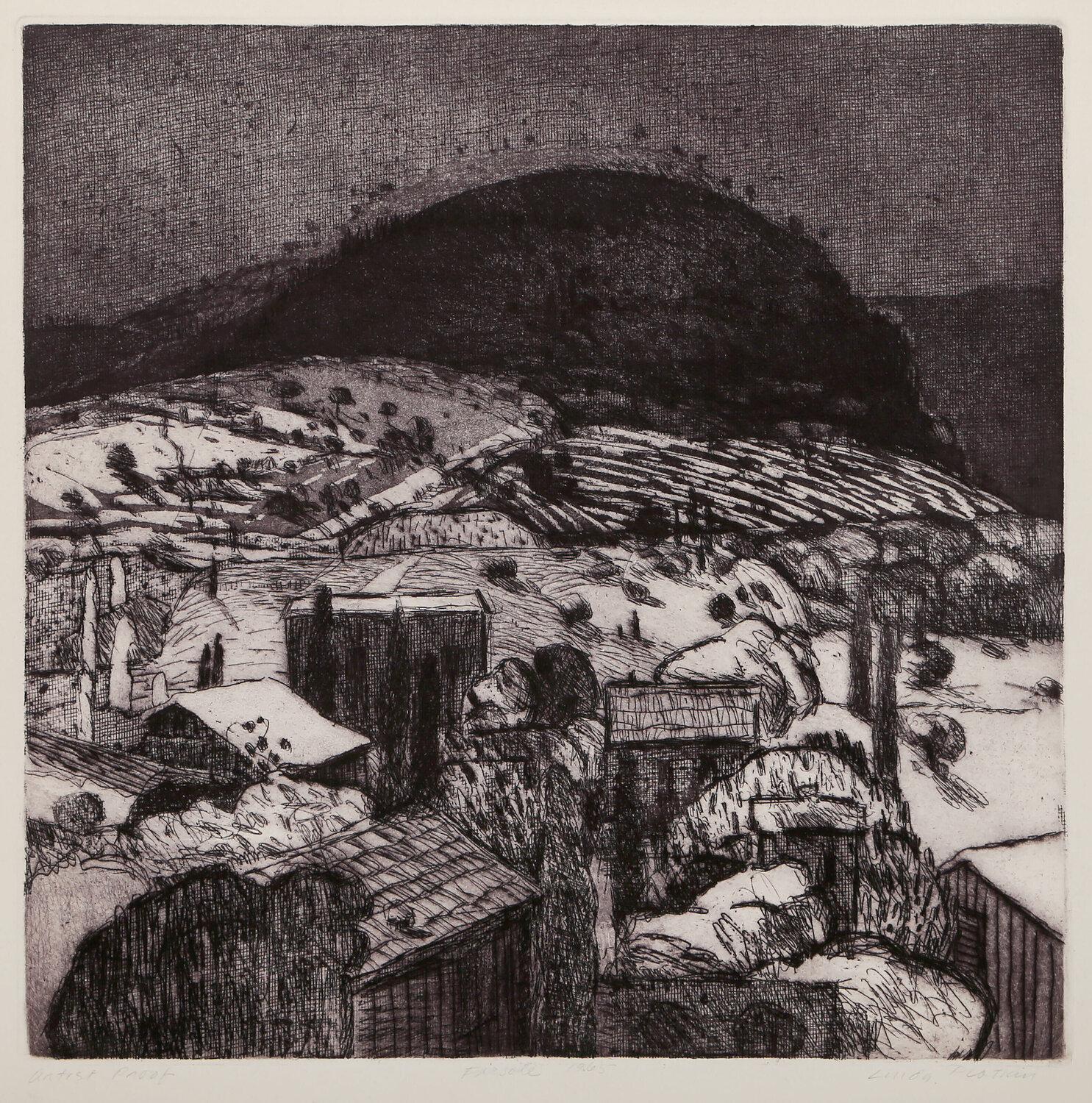 Fiesole Linda Plotkin