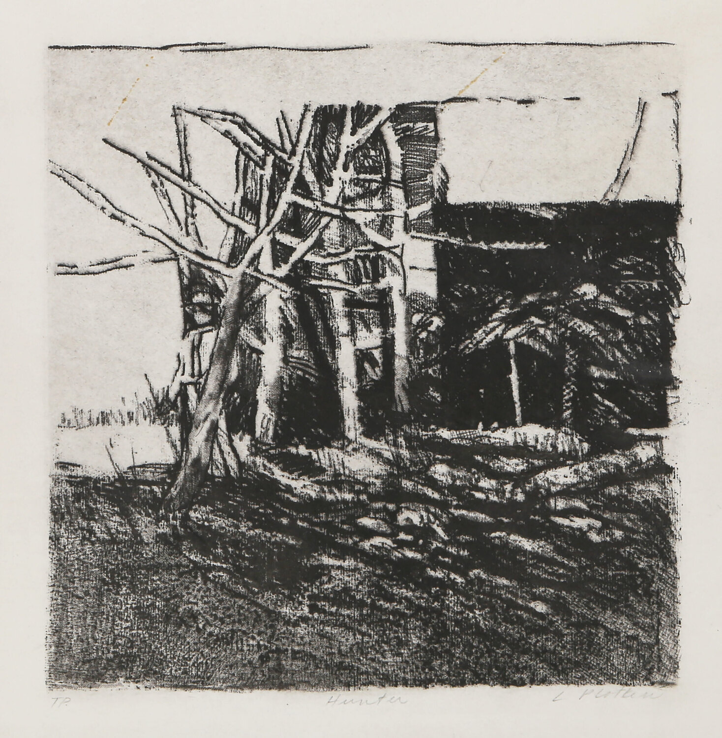 Hunter Linda Plotkin