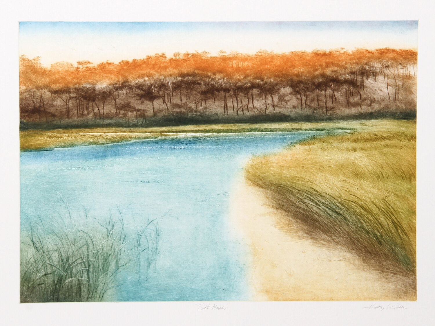 Salt Marsh Harvey Kidder