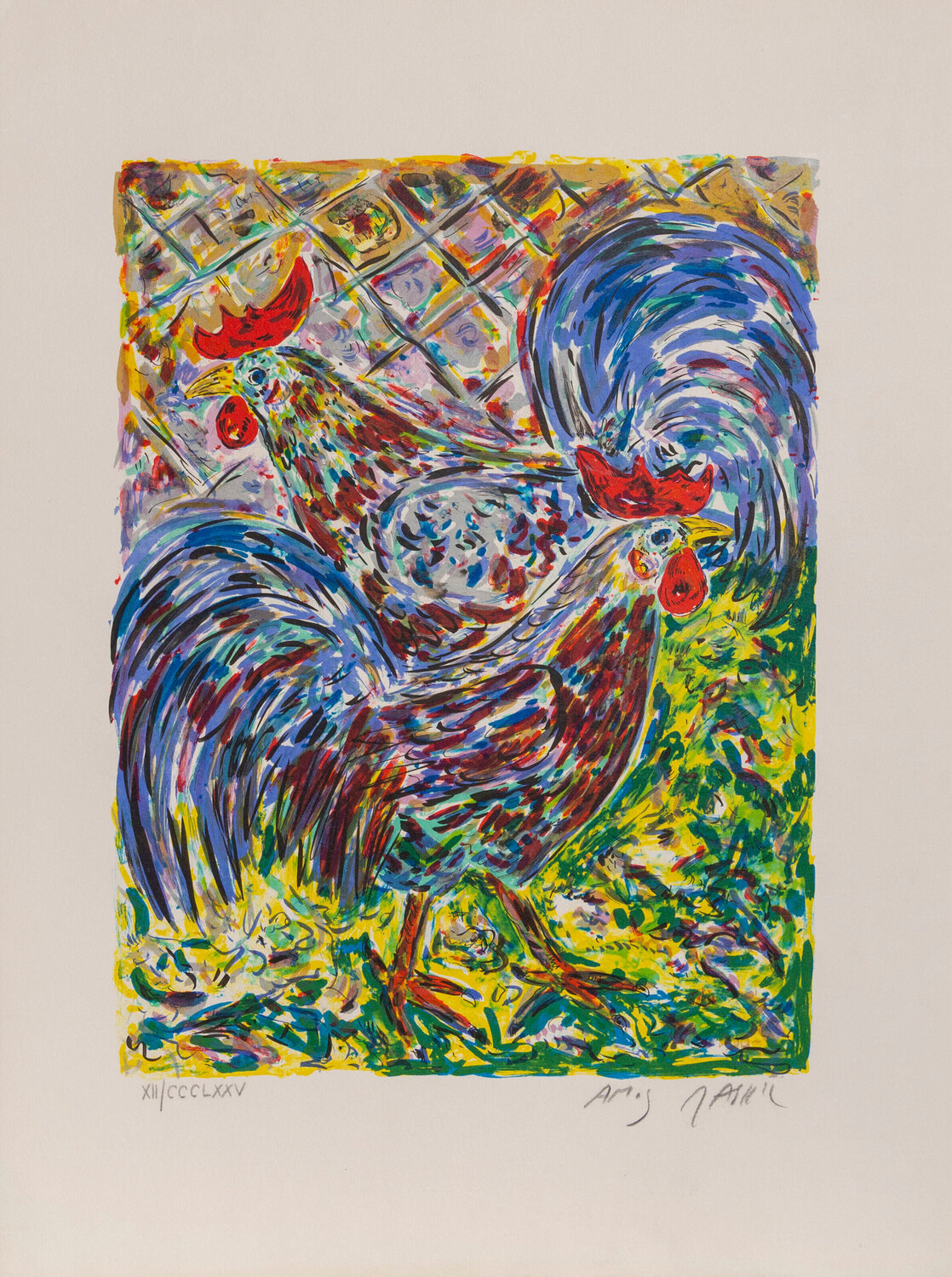 Roosters Amos Yaskil
