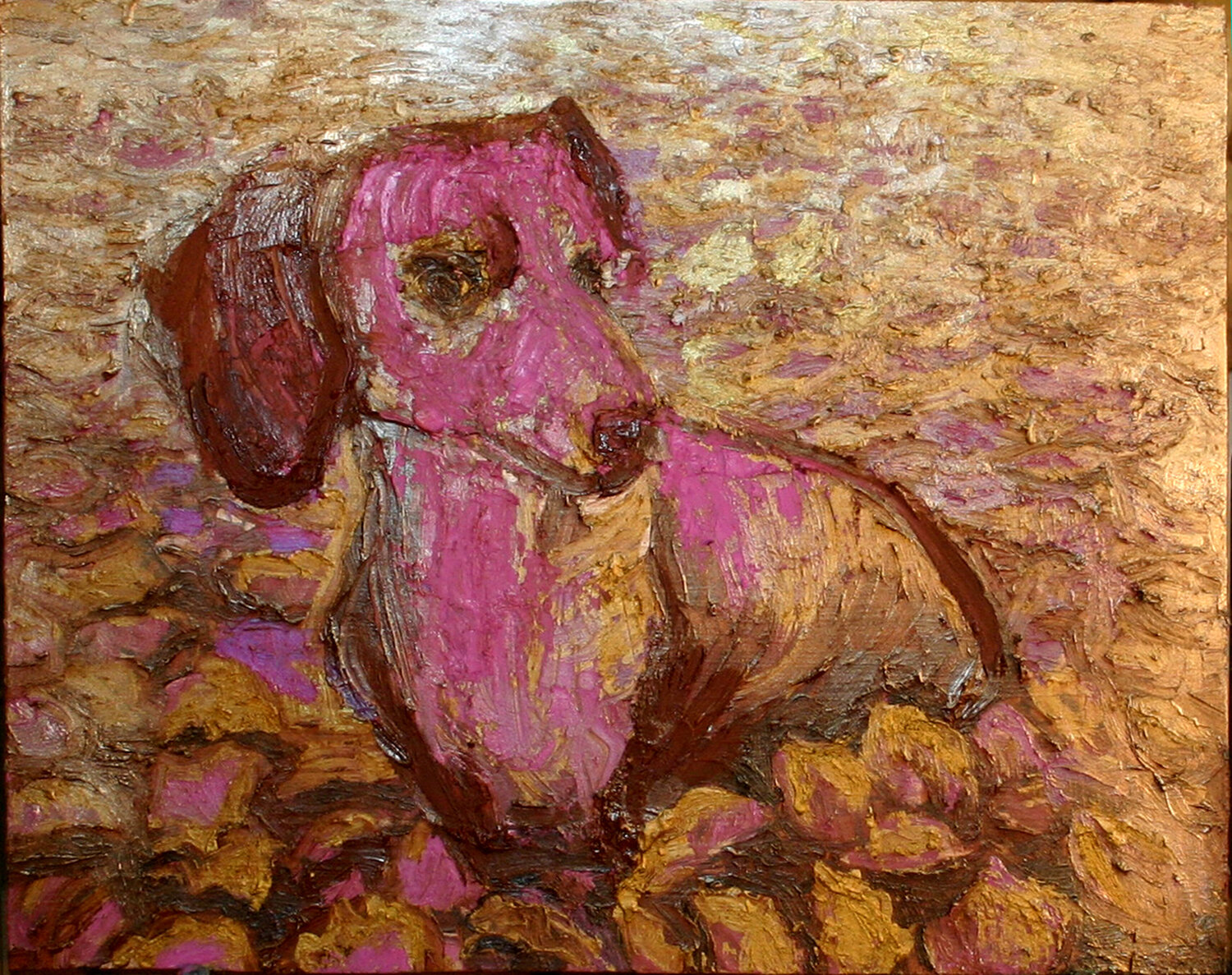 Chien rose JIri Hanibal