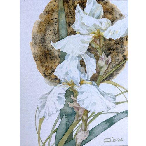 Iris par Svitlana Fesenko, Peinture en vente sur Singulart