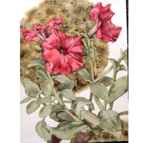 Petunia par Svitlana Fesenko, Peinture en vente sur Singulart