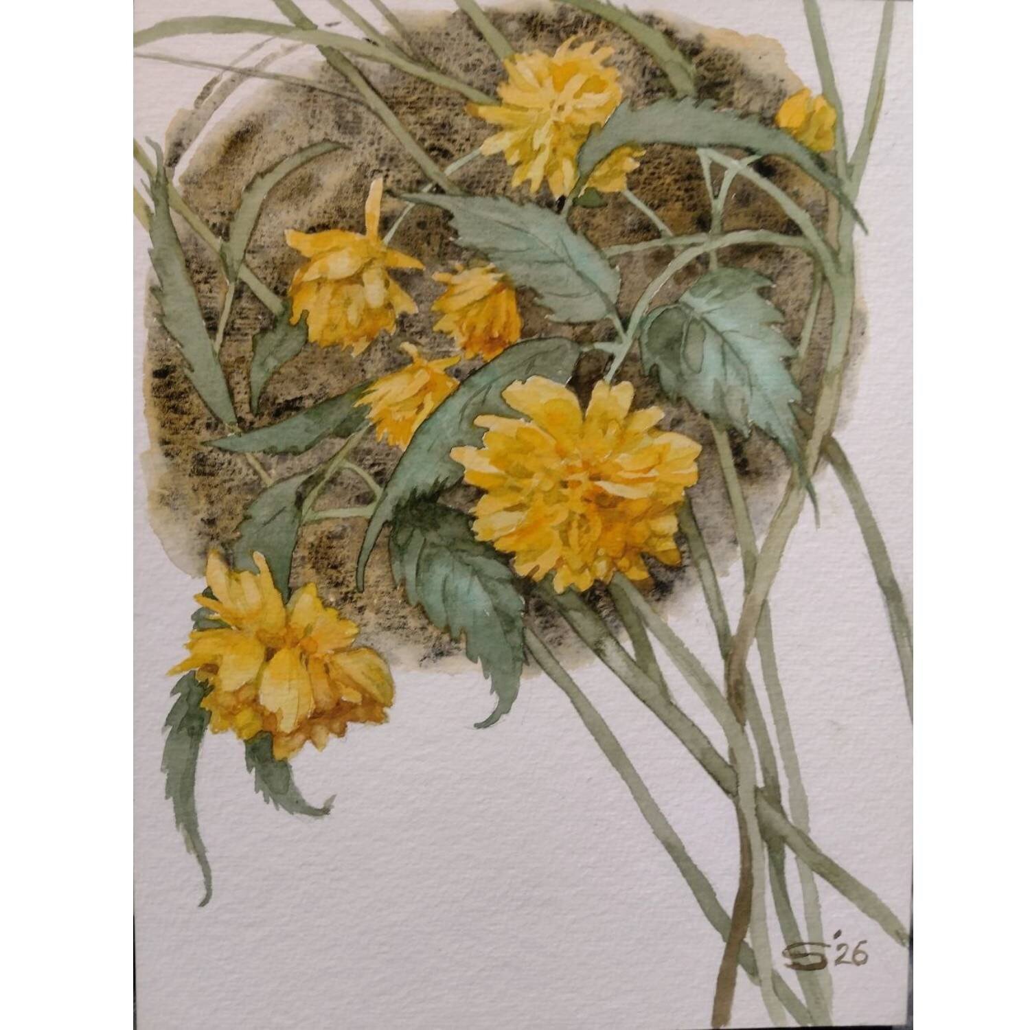 Japanese Kerria Svitlana Fesenko Peinture originale à vendre