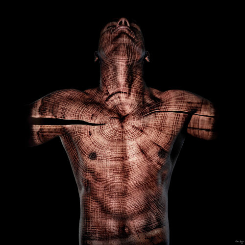 Acacia Series - ARM4 by Giuliano Bekor, 写真 for Sale on Singulart