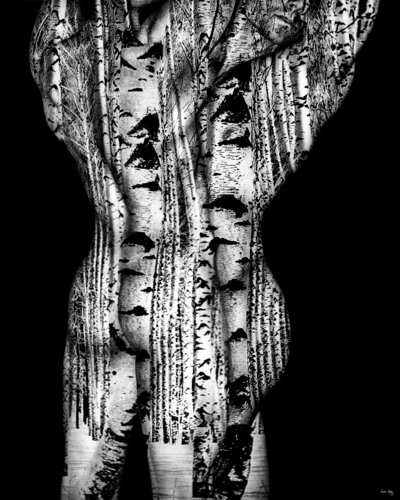 Acacia series - ARM11 by Giuliano Bekor, 写真 for Sale on Singulart