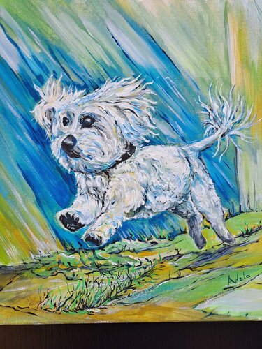 Jumping van Adela Stoian, Schilderij te koop op Singulart
