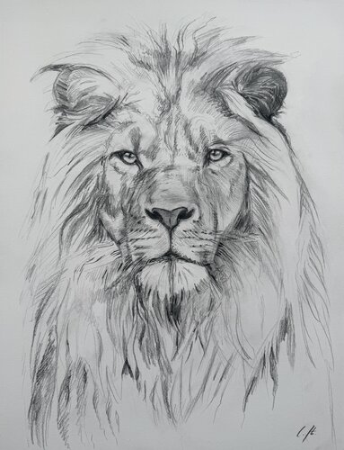 Gentle Majesty by Cynthia Stämpfli, 紙の作品 for Sale on Singulart