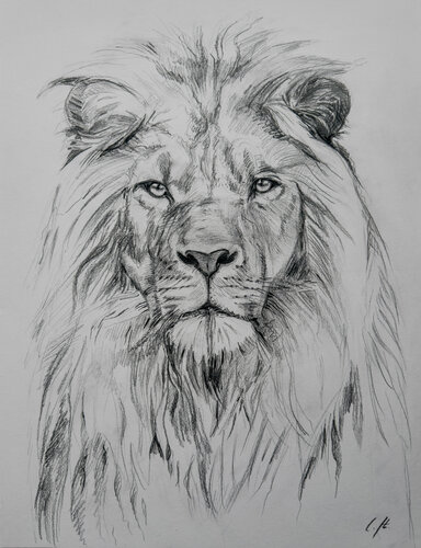 Gentle Majesty by Cynthia Stämpfli, 紙の作品 for Sale on Singulart