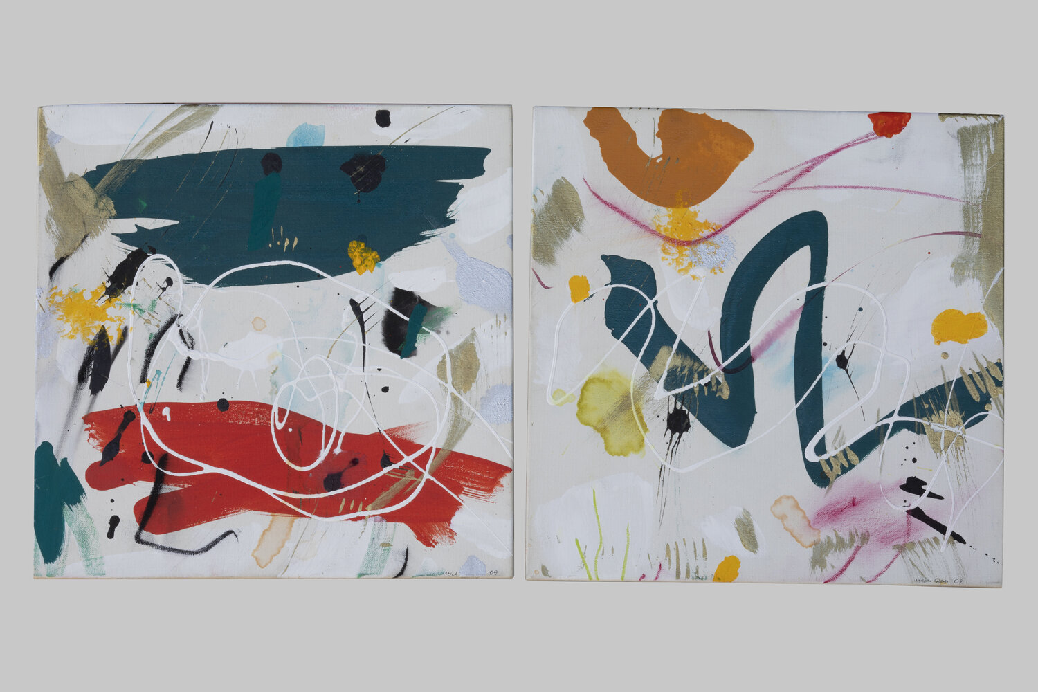 A Discovery Within the Forest Hannah Scaramella