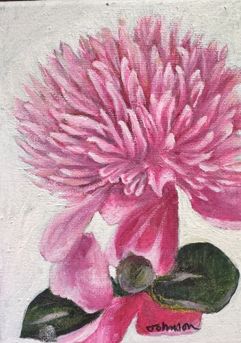 Nature's Delight de Joylene Johnson, Pintura a la venta en Singulart