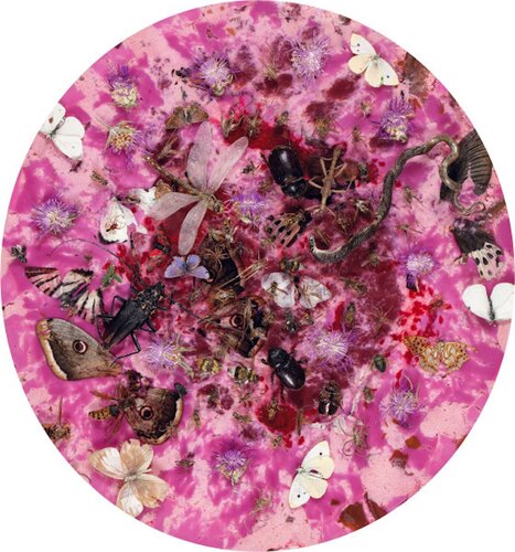 Bacchanalian Rhapsody by Anthony Noel Kelly, Print for Sale on Singulart