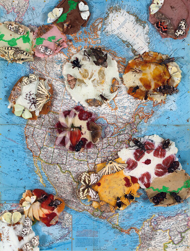 Crises in America by Anthony Noel Kelly, Photography for Sale on Singulart