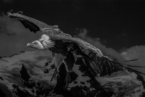 The Perspective of Power by Erik Stenbeck, Photography for Sale on Singulart