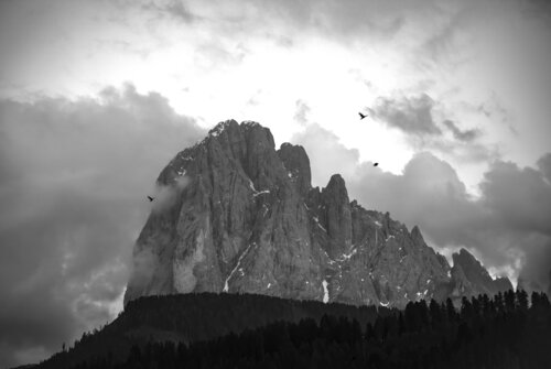 High They Fly by Erik Stenbeck, Photography for Sale on Singulart