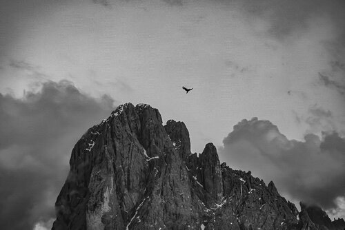 Flying High 1 by Erik Stenbeck, Photography for Sale on Singulart