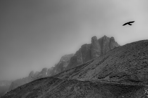Flying High 2 by Erik Stenbeck, Photography for Sale on Singulart