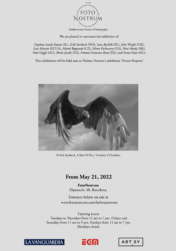 A Bird of Prey Rests Inside of Me - FotoNostrum with Helmut Newton by Erik Stenbeck, Photography for Sale on Singulart