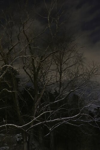 Light dwells behind the Night von Erik Stenbeck, Fotografie kaufen auf Singulart