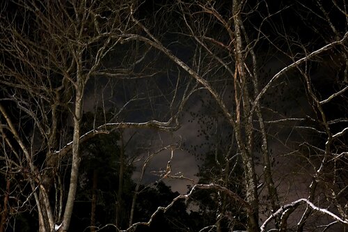 Where the Light Remains by Erik Stenbeck, 写真 for Sale on Singulart