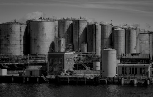 Close Together 1 by Erik Stenbeck, Photography for Sale on Singulart