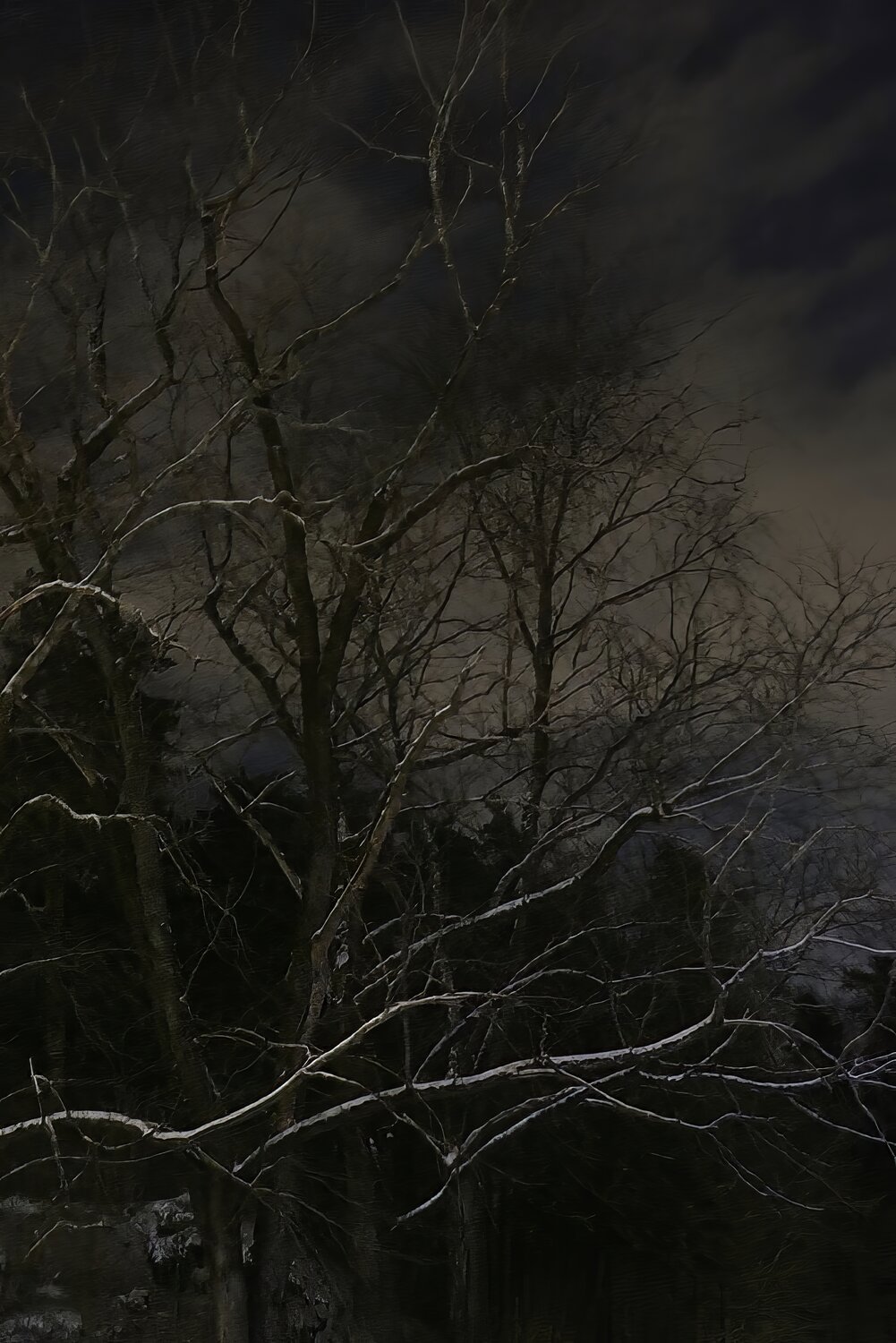 Light dwells behind the Night Erik Stenbeck Fotografie zu verkaufen