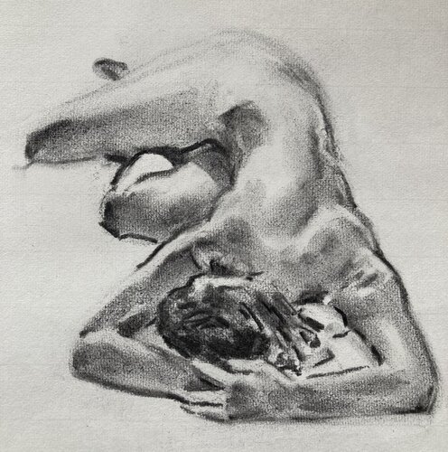 Studie in houtskool van Hasse by John Rabou, Work on Paper for Sale on Singulart