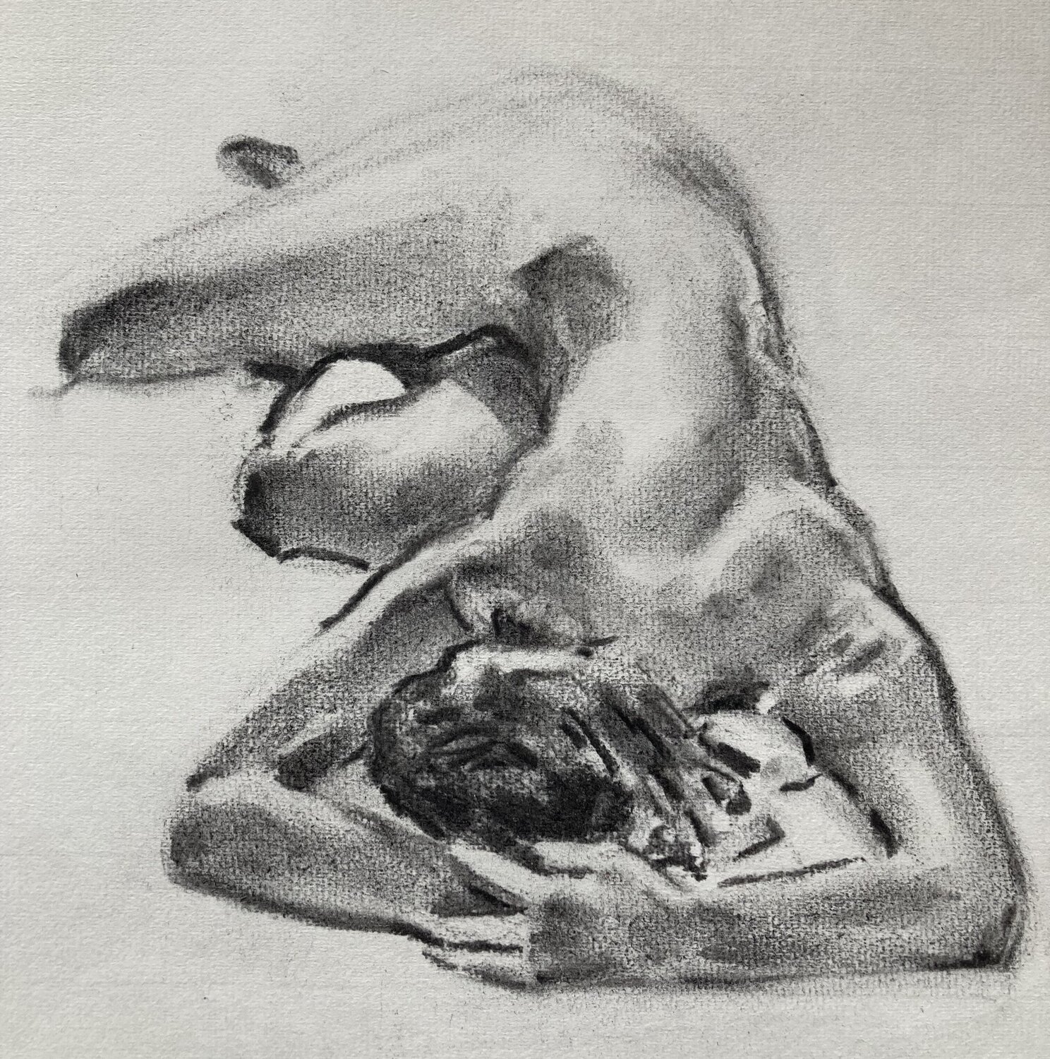 Studie in houtskool van Hasse John Rabou Work on Paper for sale