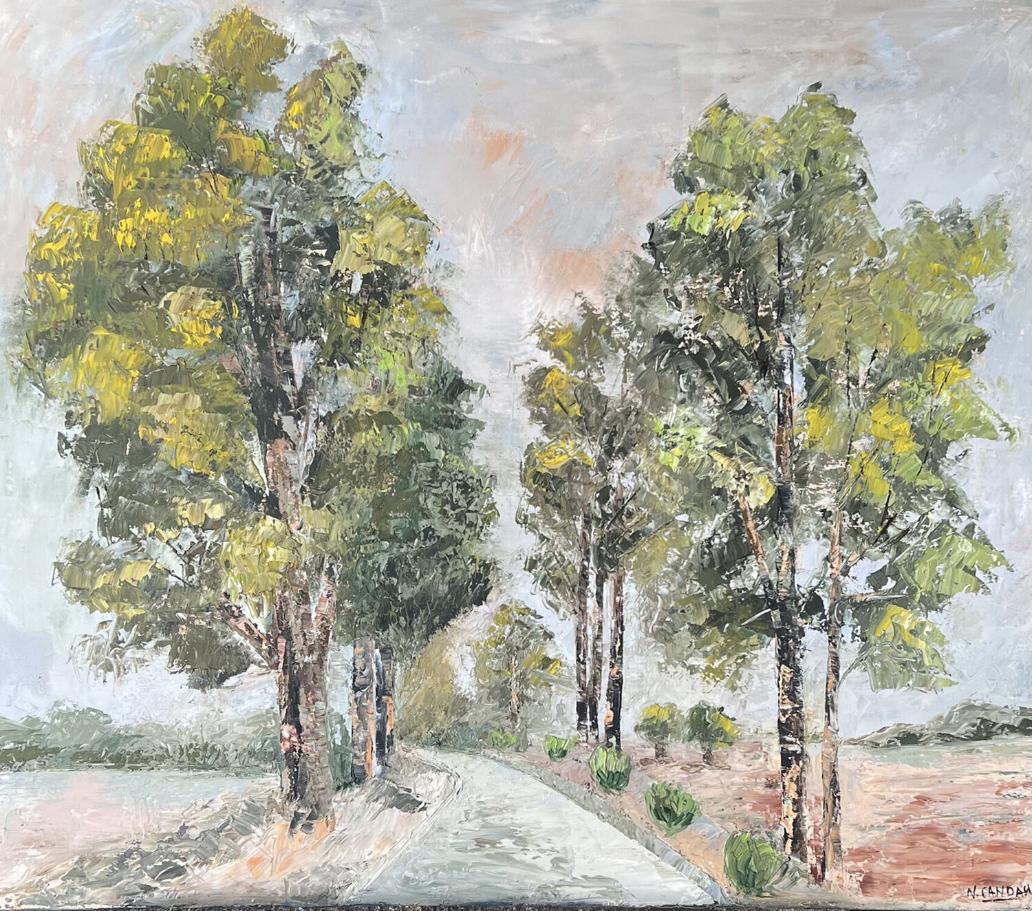 Arboles de Llafranc Nuria Candau Vidal