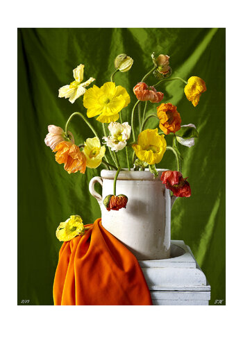 POPPIES de Thomas Hjertén, Fotografía a la venta en Singulart