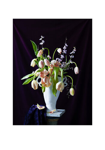 TULIPS par Thomas Hjertén, Photographie en vente sur Singulart