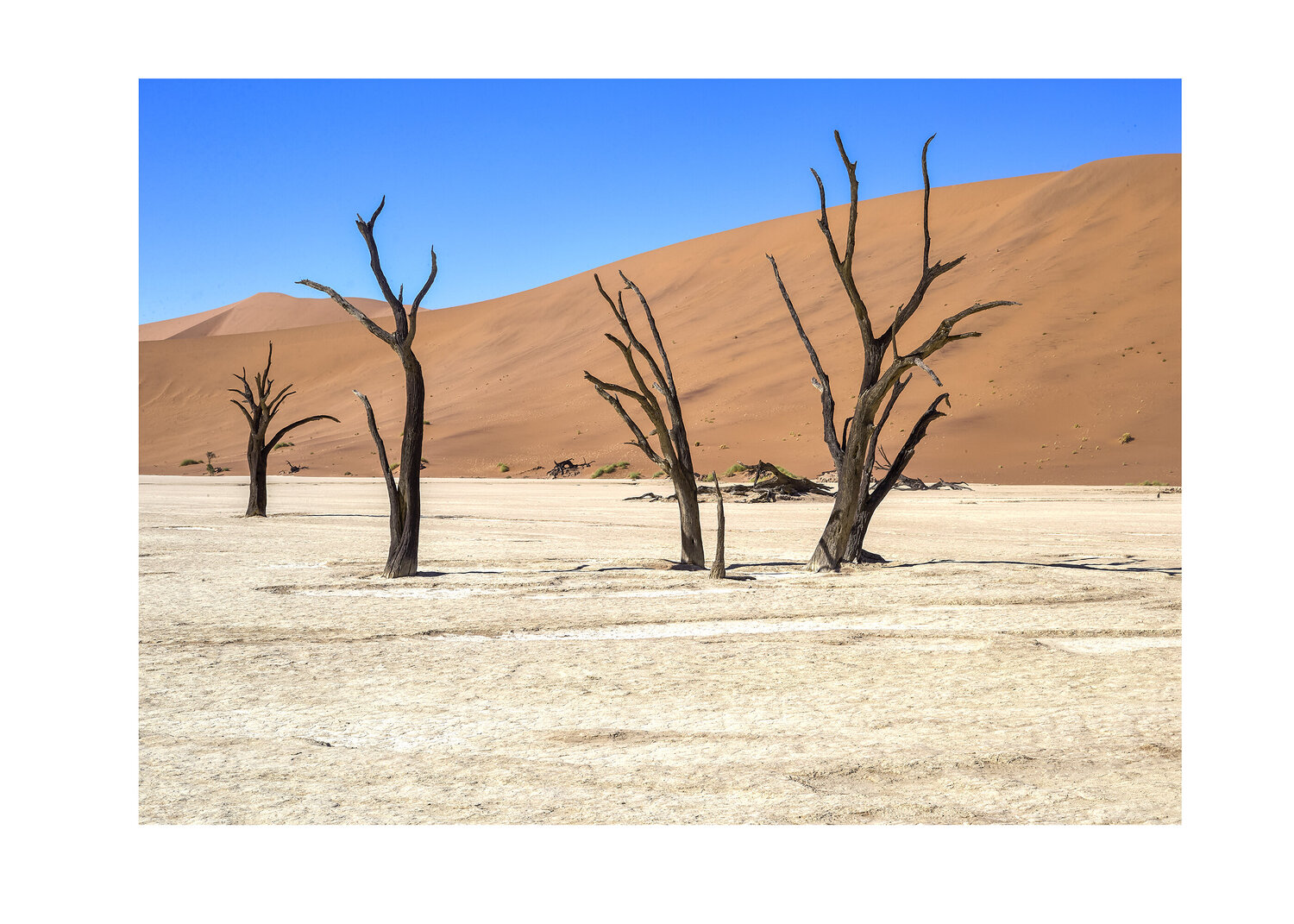 DEADVLEI_1 Thomas Hjertén Fotografie te koop