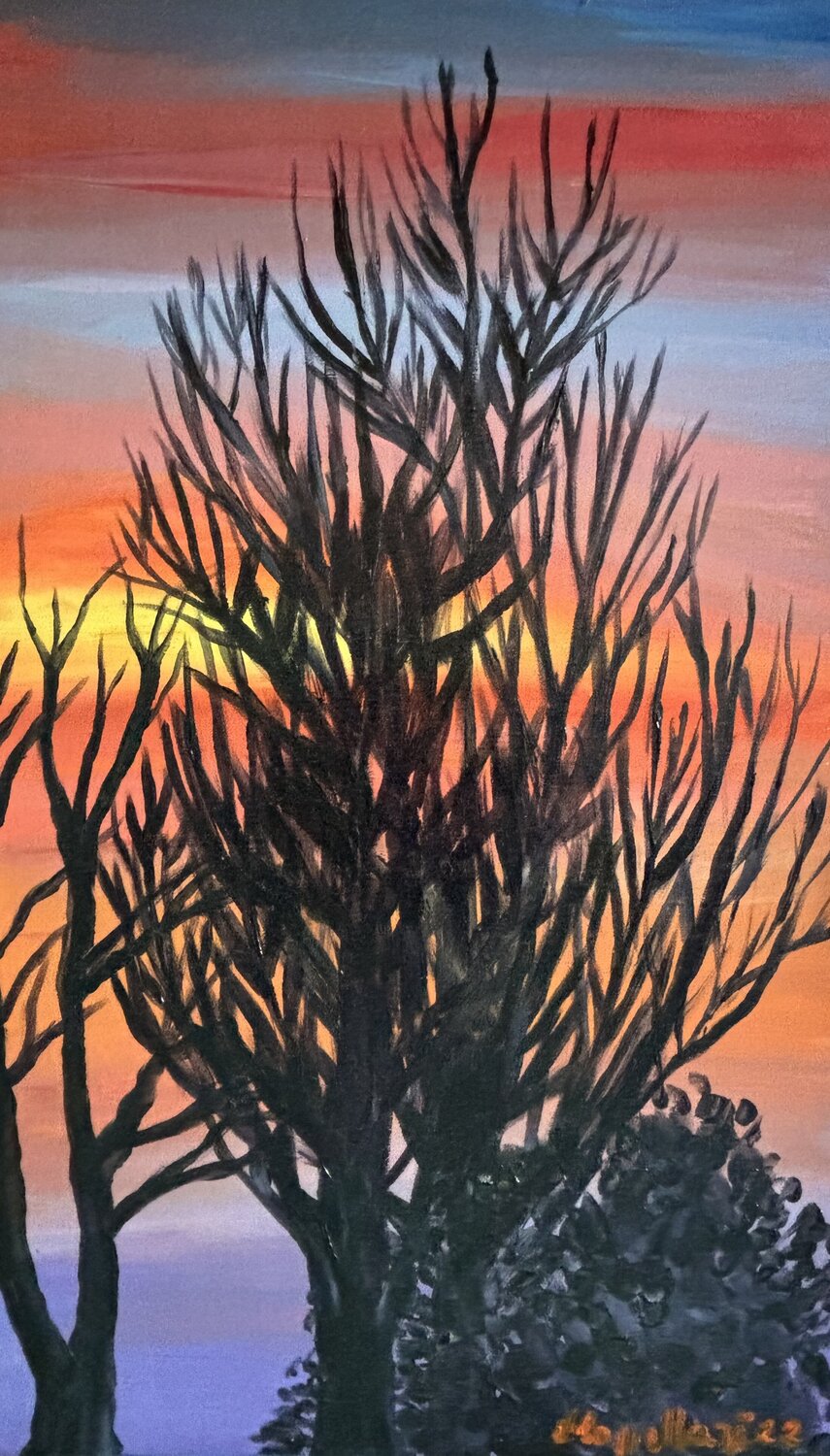 Tramonto invernale Luisa Cappellari