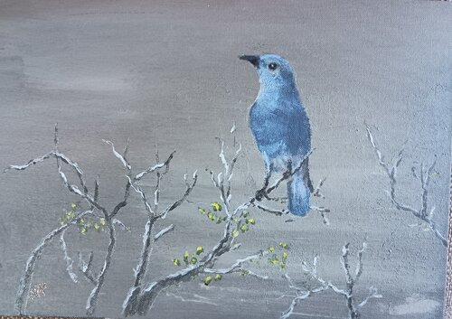 Mountain Bluebird by Gunter Radinger, 絵画 for Sale on Singulart