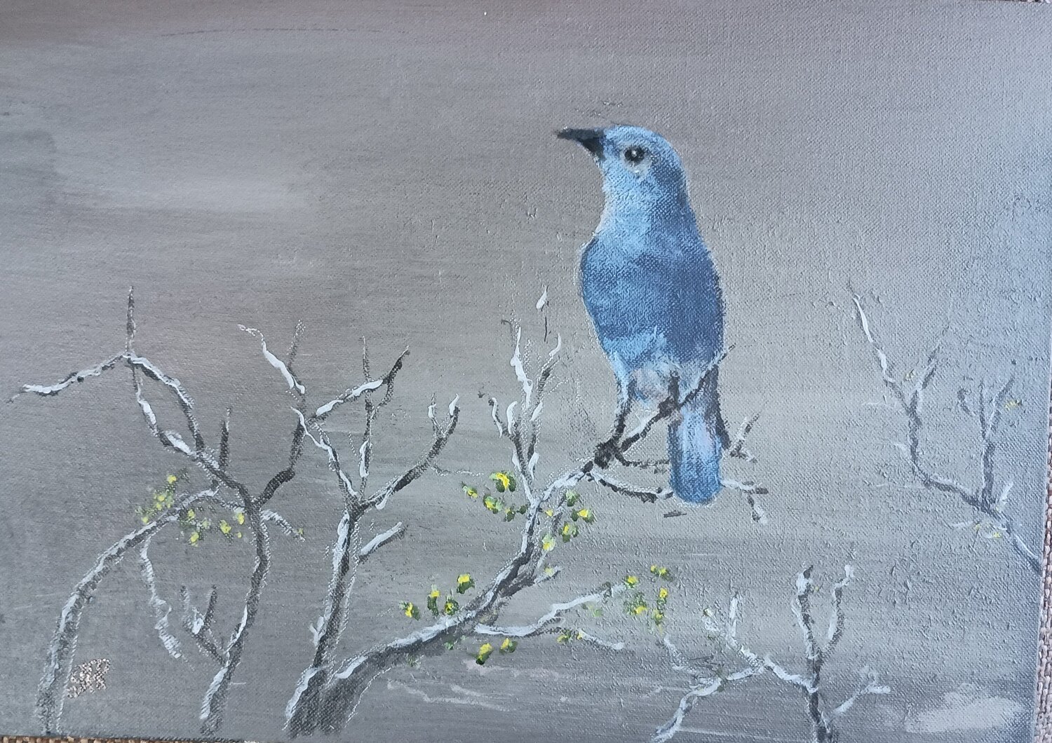 Mountain Bluebird Gunter Radinger Original painting for sale