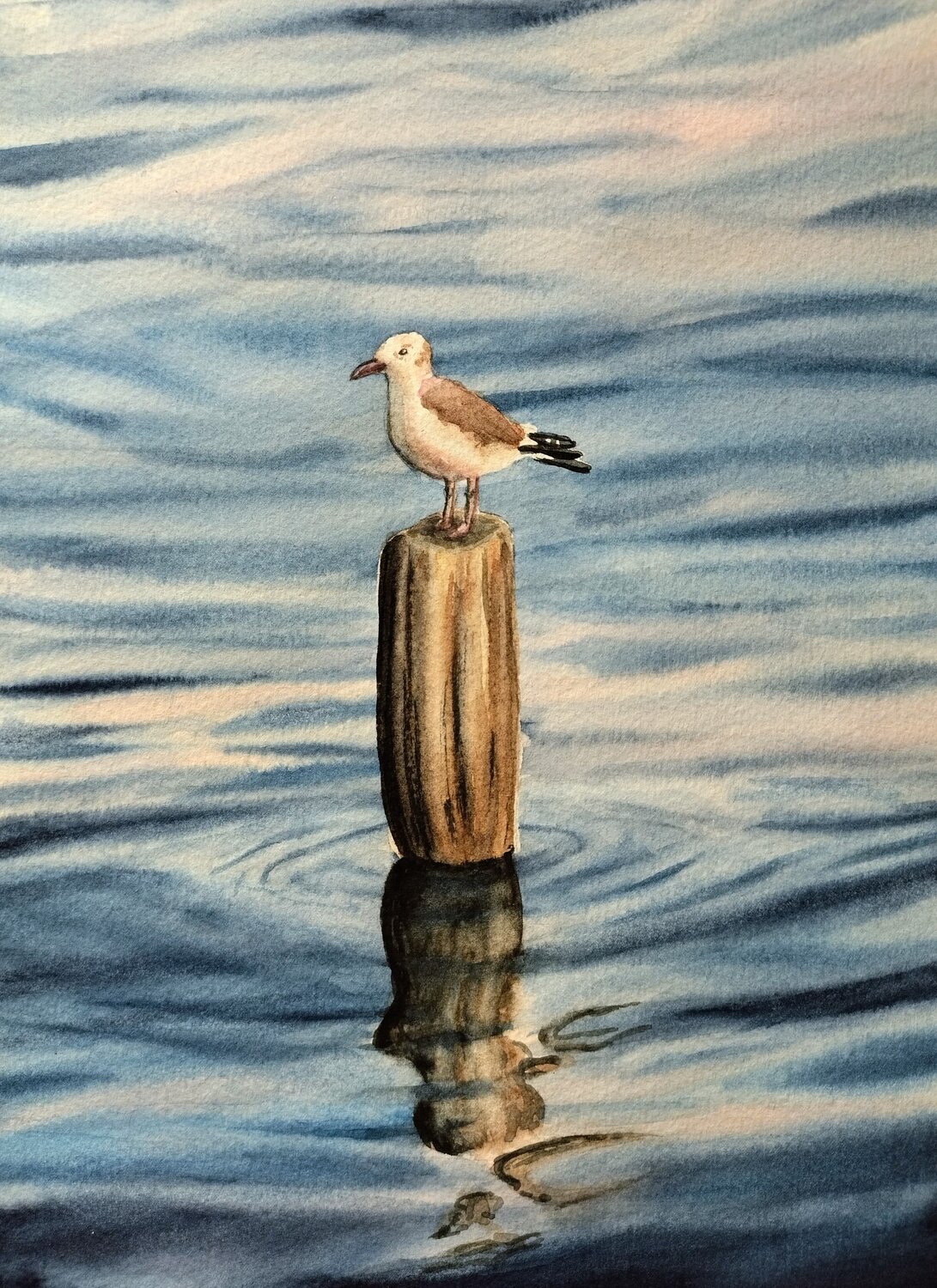 Solitario Manuela Cordedda