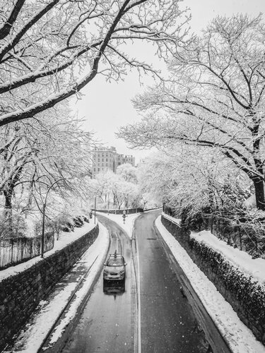 Winter in the Park - New York von Fabian Kimmel, Fotografie kaufen auf Singulart