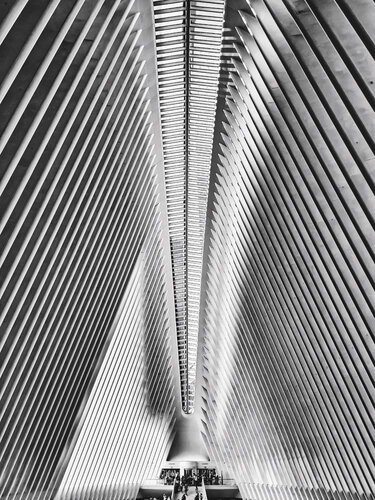New York Spine - New York by Fabian Kimmel, Photography for Sale on Singulart