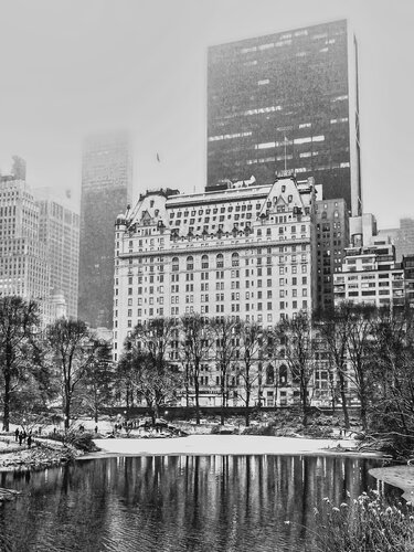 The Winter Plaza Hotel - New York by Fabian Kimmel, Photography for Sale on Singulart