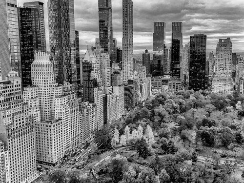 Central Park I - New York by Fabian Kimmel, Photography for Sale on Singulart