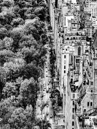 Central Park II - New York by Fabian Kimmel, Photography for Sale on Singulart