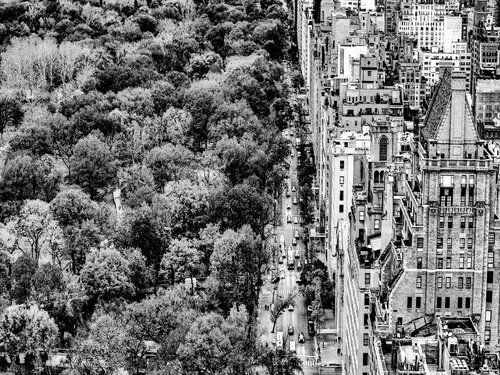 New York Life VIII - New York by Fabian Kimmel, 写真 for Sale on Singulart