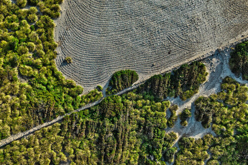 Green Veins by Fabian Kimmel, 写真 for Sale on Singulart