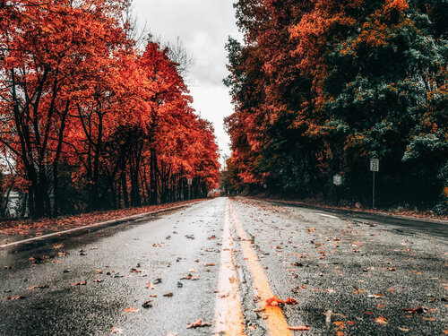 Road to Nowhere - New York di Fabian Kimmel, Fotografia in vendita su Singulart