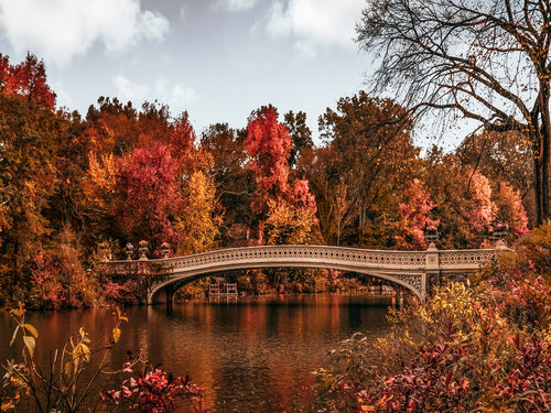 Central Park Fall I - New York di Fabian Kimmel, Fotografia in vendita su Singulart