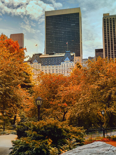 The Plaza Hotel Autumn II - New York by Fabian Kimmel, Photography for Sale on Singulart