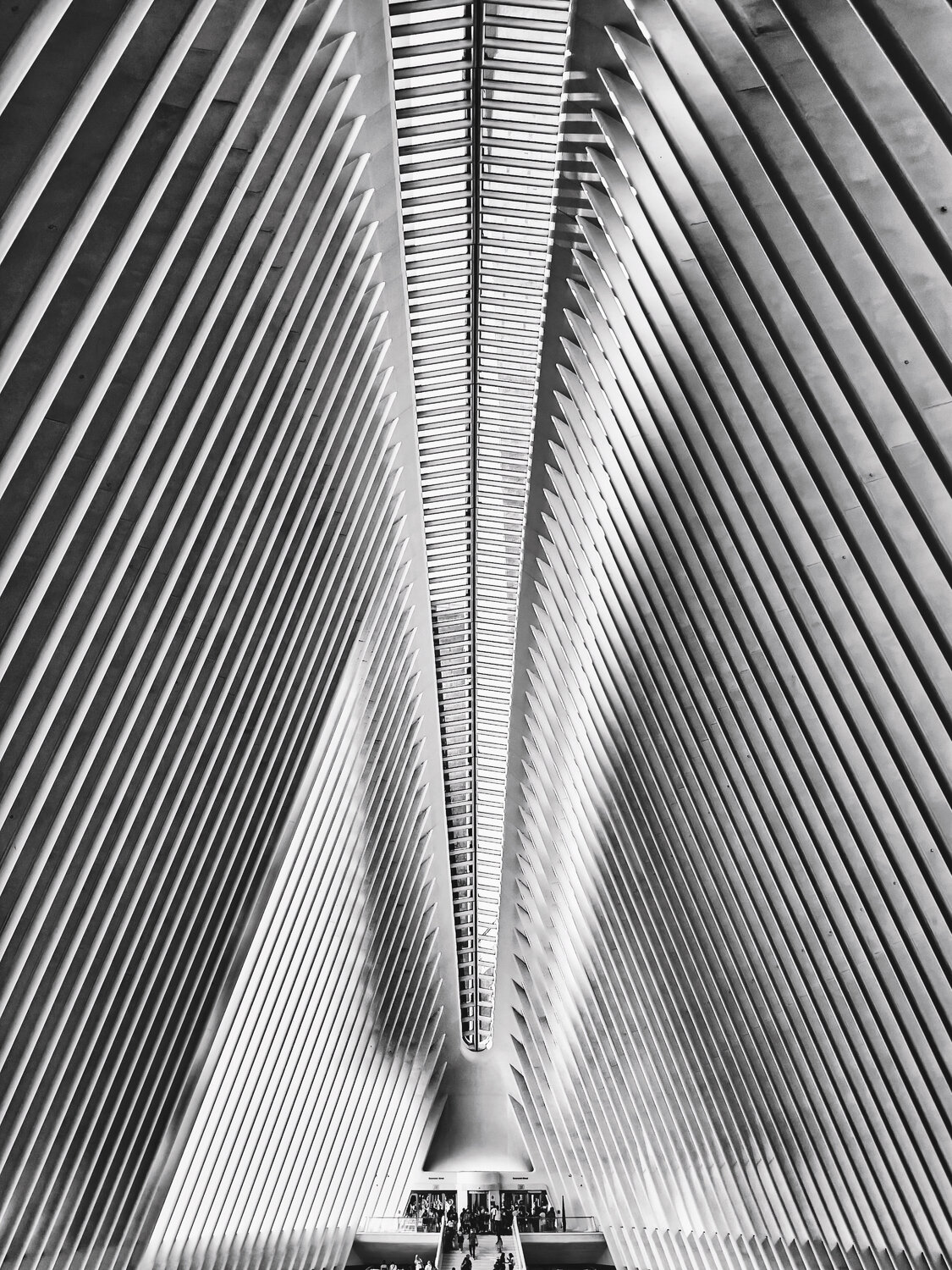 New York Spine - New York Fabian Kimmel