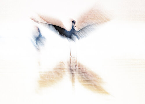 The Flight by Erik Malm, Photography for Sale on Singulart