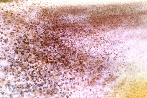 Revers Views by Erik Malm, 写真 for Sale on Singulart